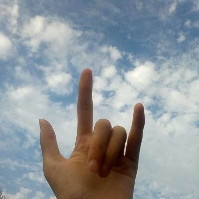 leyu乐鱼手机app下载